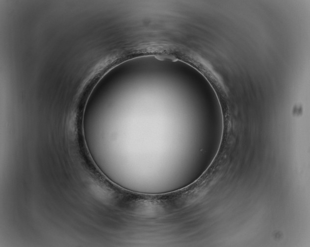 X0000102280250200807251405