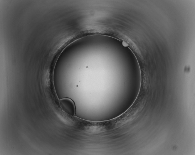 X0000102280251200807251405