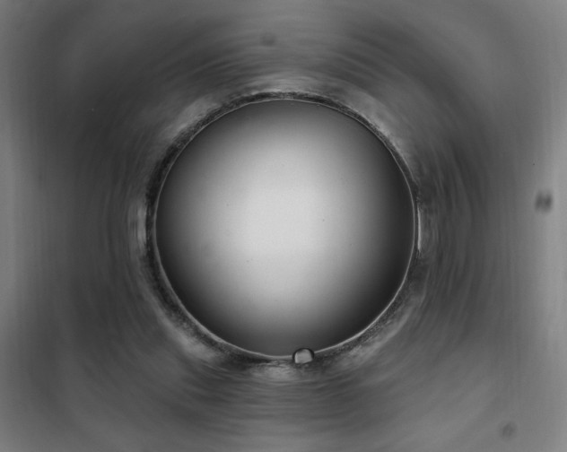 X0000102280253200807251405