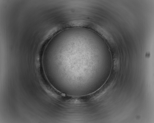 X0000102280254200807251405