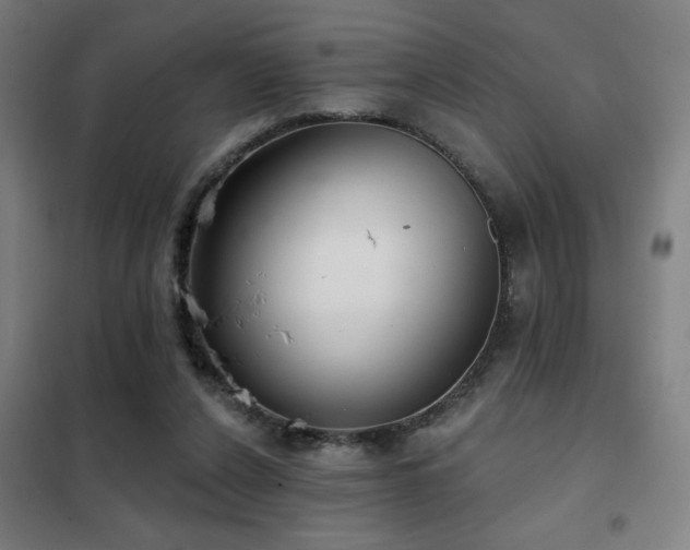 X0000102280256200807251405