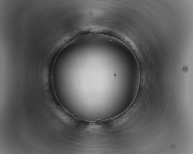 X0000102280257200807251405
