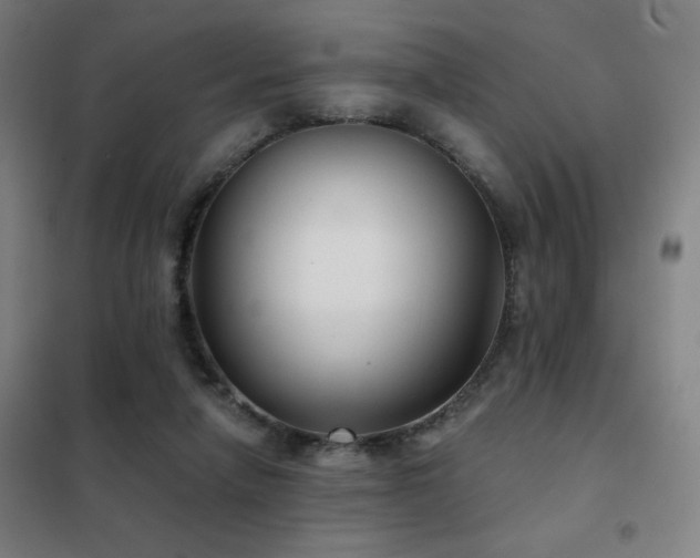 X0000102280258200807251405