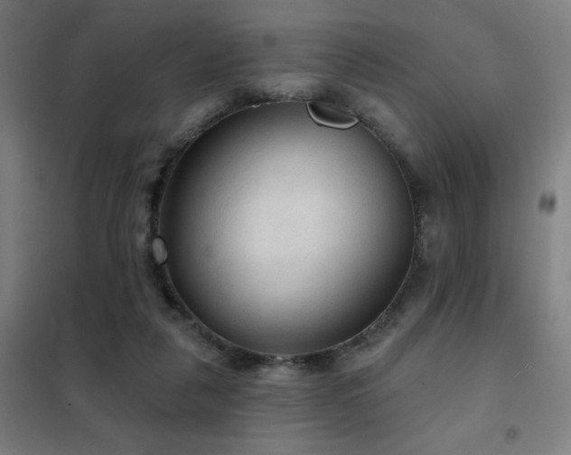 X0000102280259200807251405