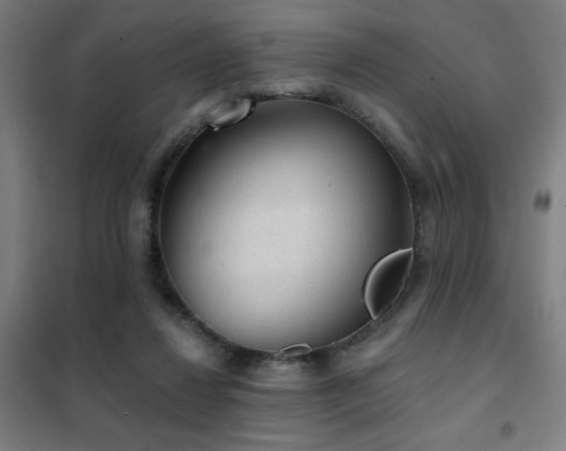 X0000102280260200807251405