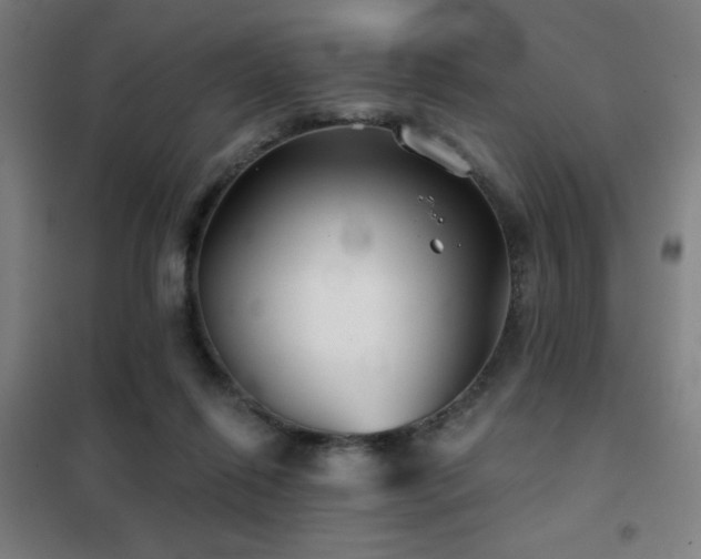 X0000102280262200807251405