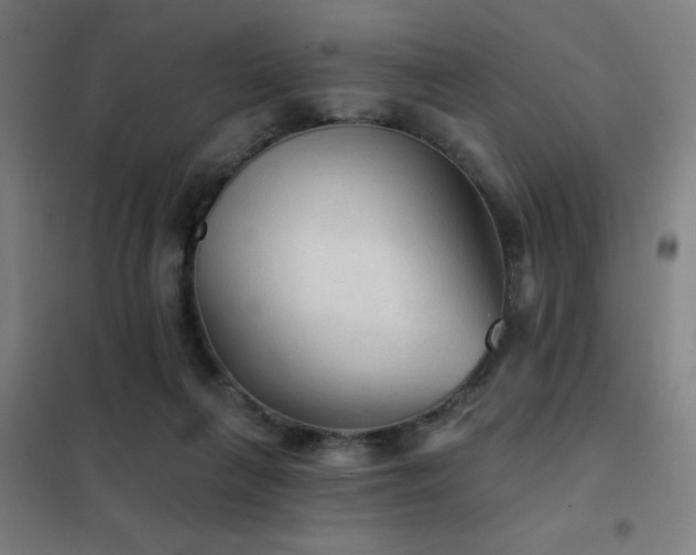 X0000102280263200807251405