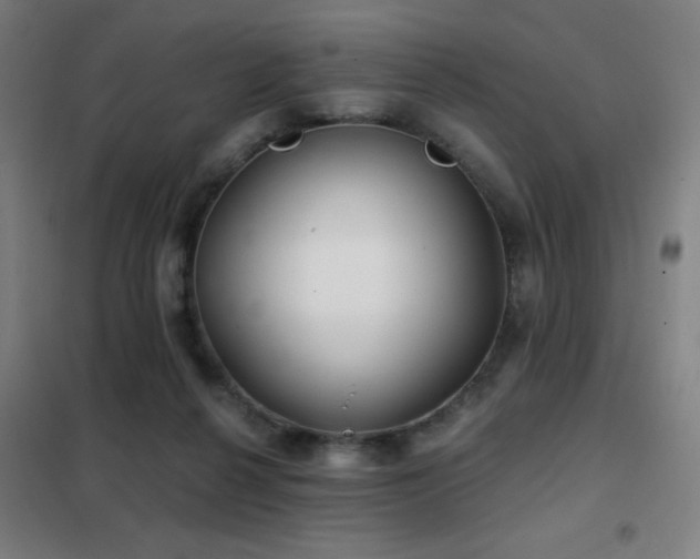 X0000102280264200807251405