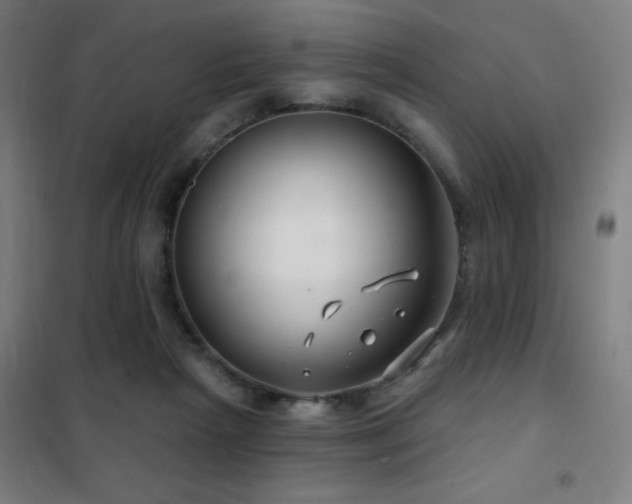 X0000102280265200807251405