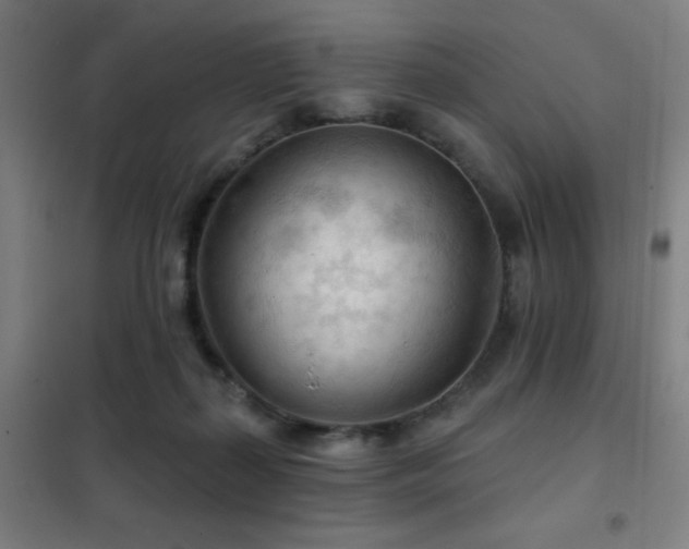 X0000102280267200807251405