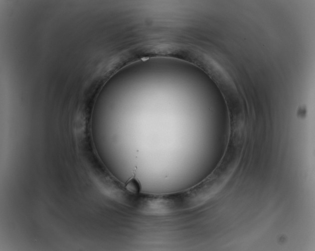 X0000102280268200807251405