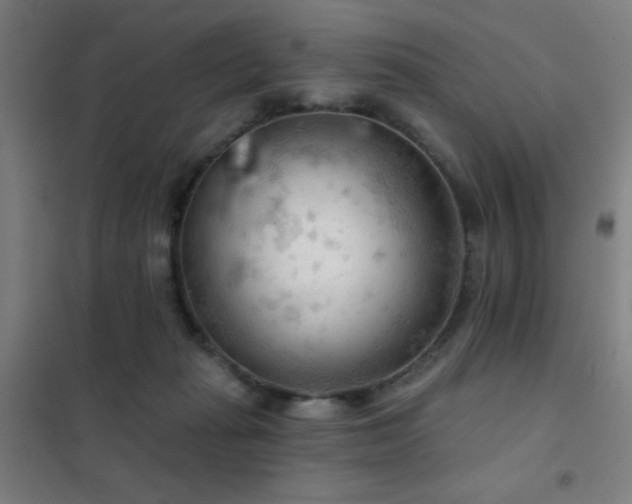 X0000102280269200807251405