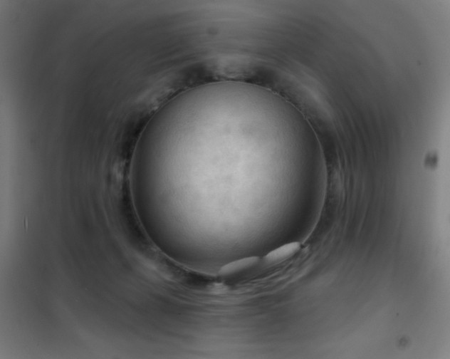 X0000102280271200807251405