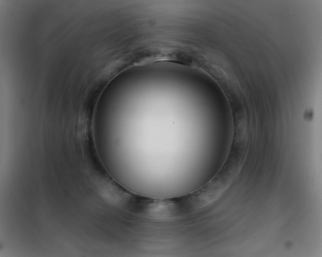 X0000102280274200807251405