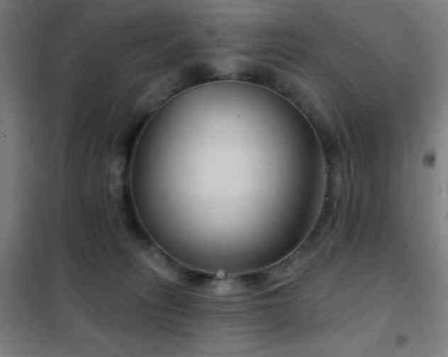 X0000102280275200807251405