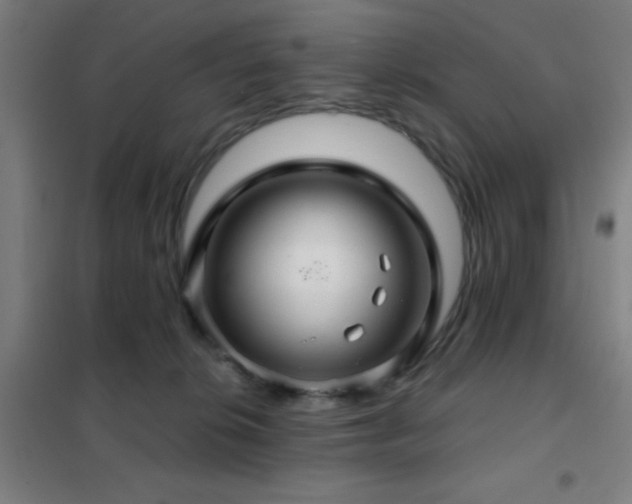 X0000102280276200807251405