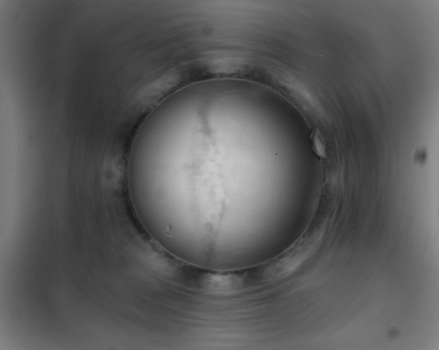X0000102280277200807251405