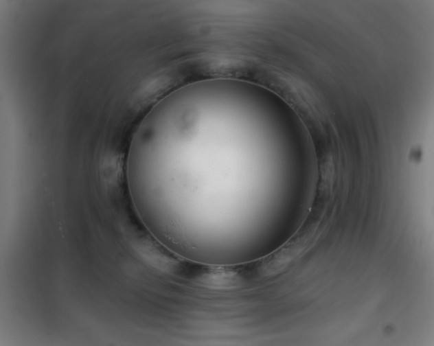 X0000102280278200807251405