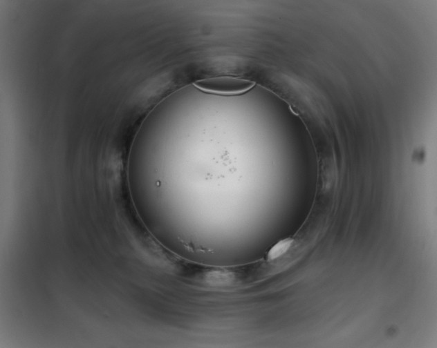 X0000102280279200807251405