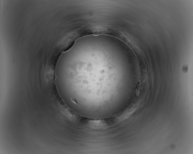 X0000102280281200807251405