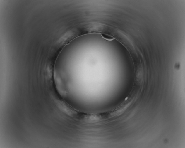 X0000102280282200807251405