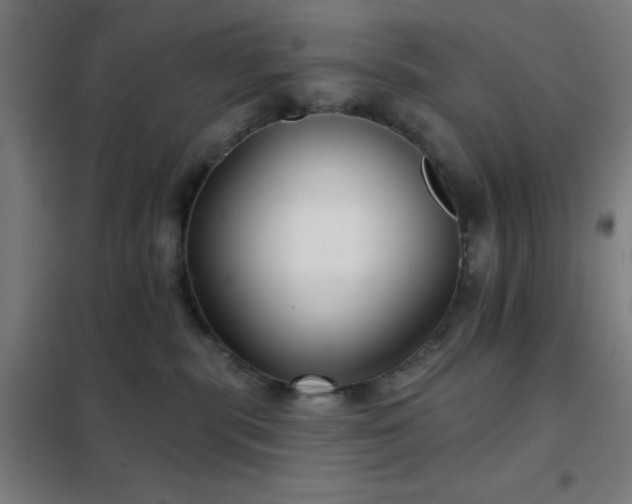 X0000102280283200807251405