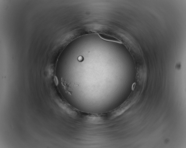 X0000102280284200807251405
