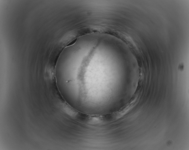 X0000102280285200807251405