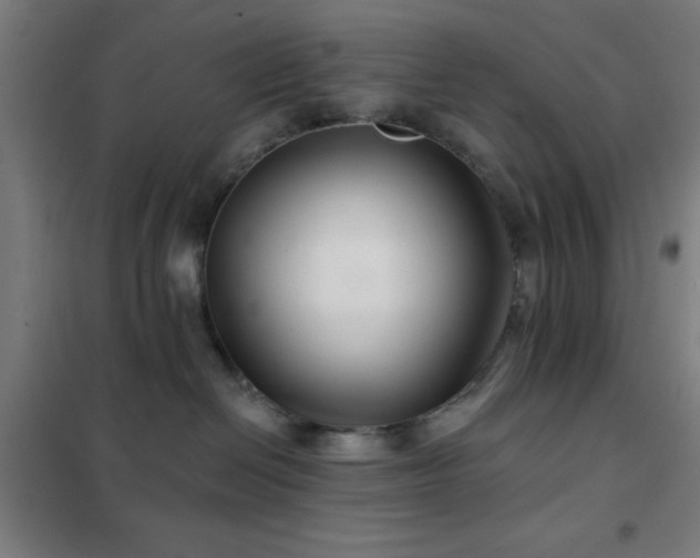 X0000102280286200807251405