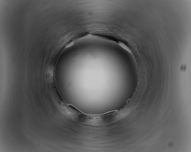 X0000102280288200807251405