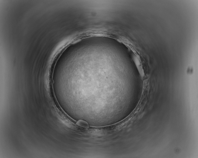 X0000102280293200807251405