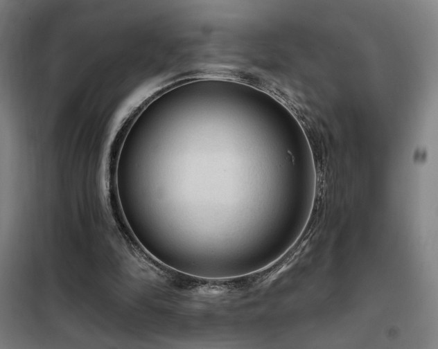 X0000102280294200807251405
