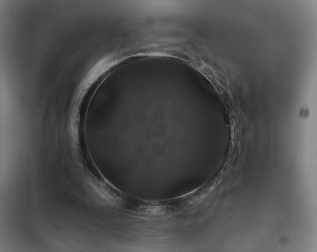 X0000102280295200807251405