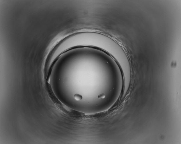 X0000102280296200807251405