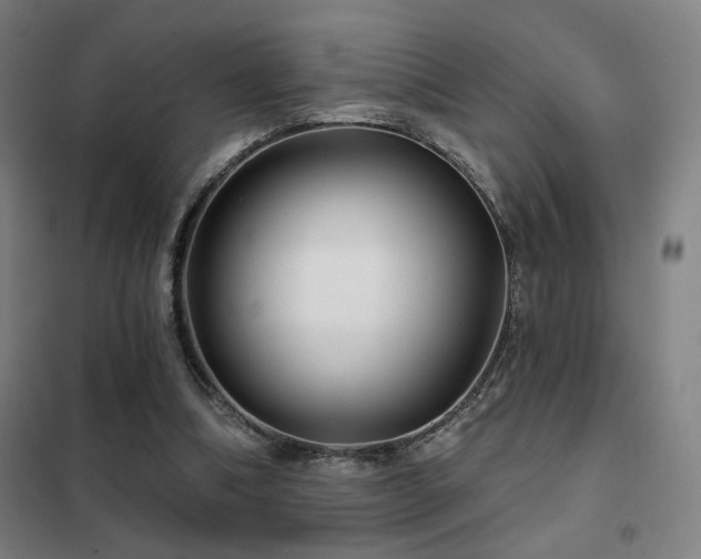 X0000102280298200807251405