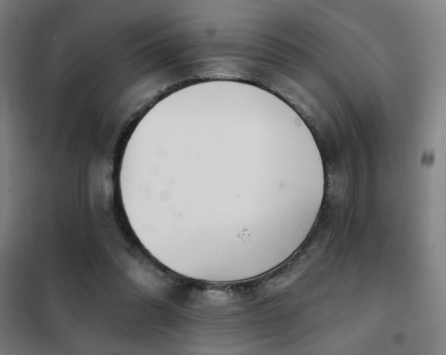 X0000102280302200807251404