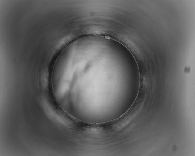 X0000102280304200807251404