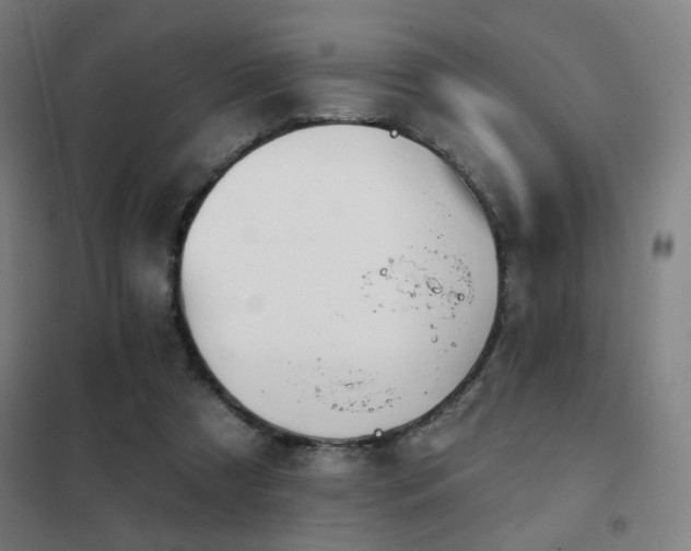 X0000102280305200807251404