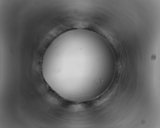X0000102280307200807251404