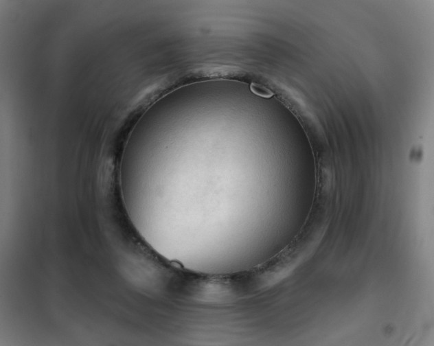 X0000102280308200807251404