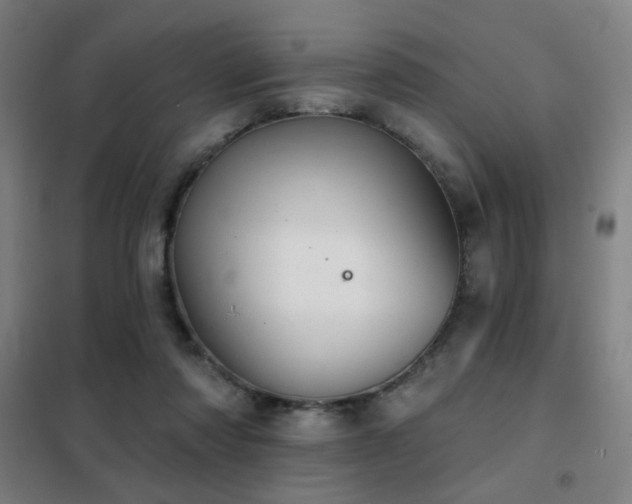 X0000102280310200807251404