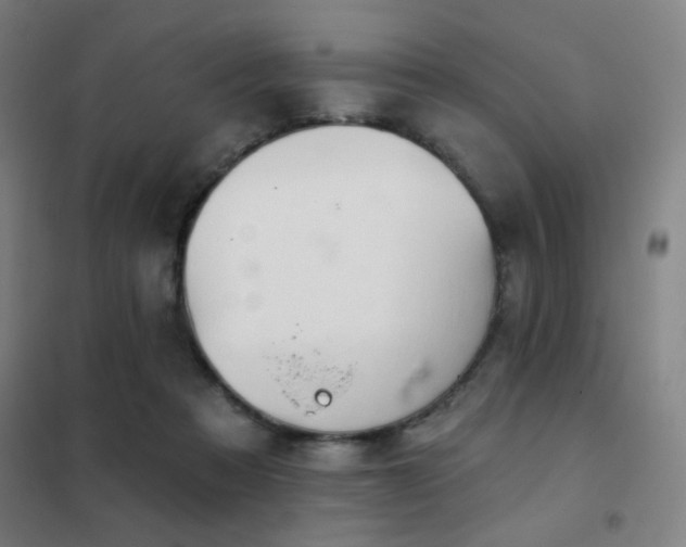 X0000102280313200807251404