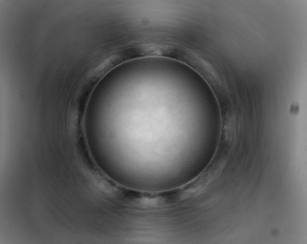 X0000102280314200807251404