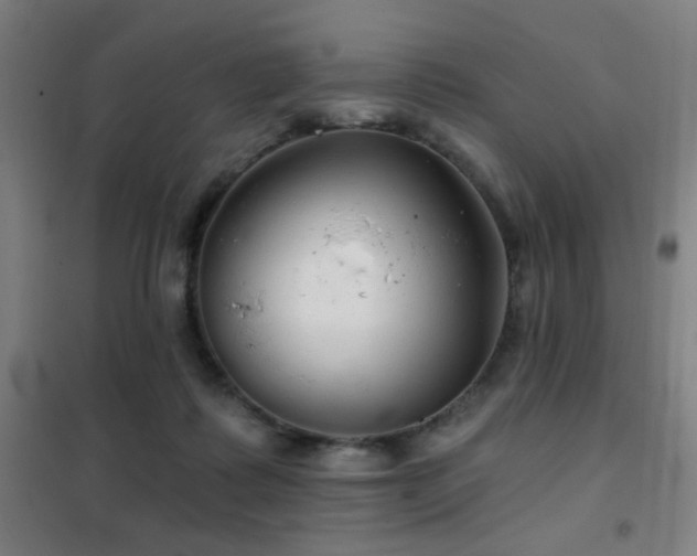 X0000102280315200807251404