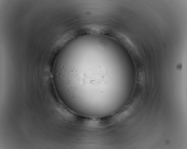 X0000102280318200807251404
