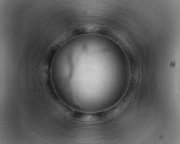 X0000102280319200807251404
