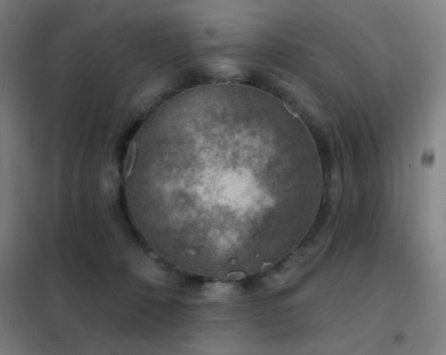 X0000102280320200807251404