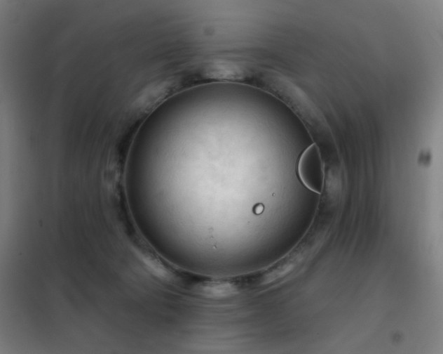 X0000102280322200807251404