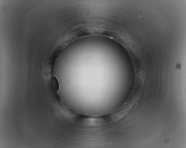 X0000102280323200807251404
