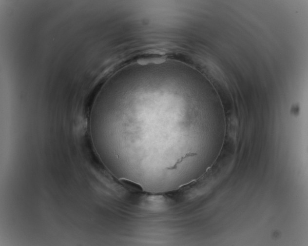 X0000102280324200807251404